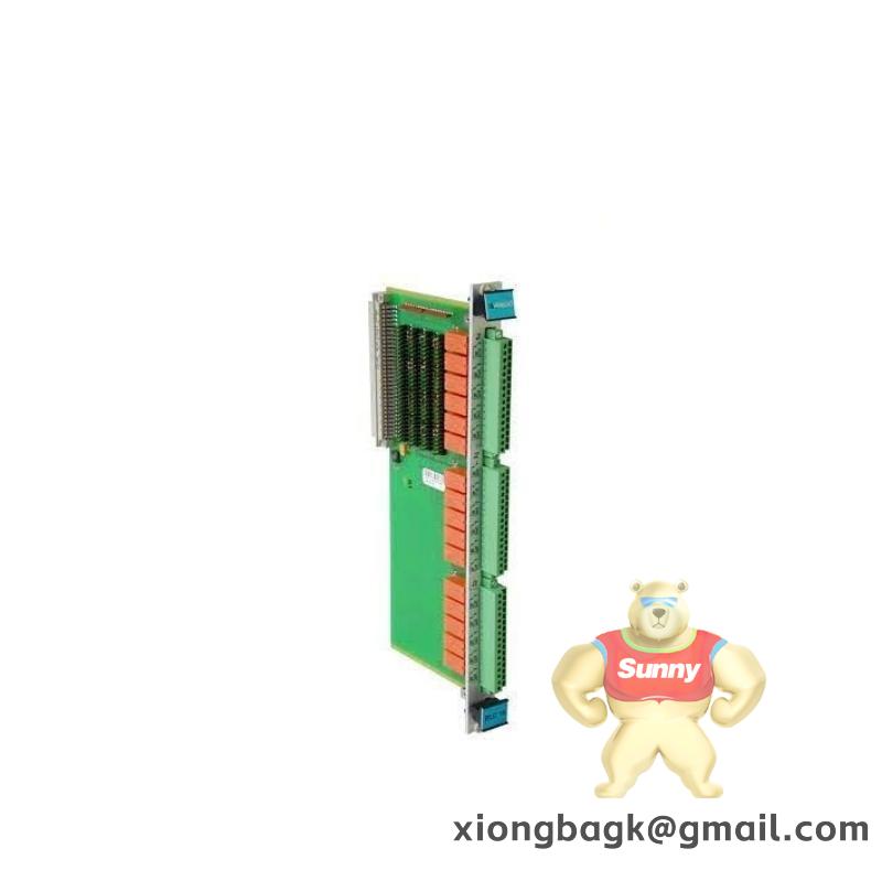 Vibro-meter VM600 200-570-000-014