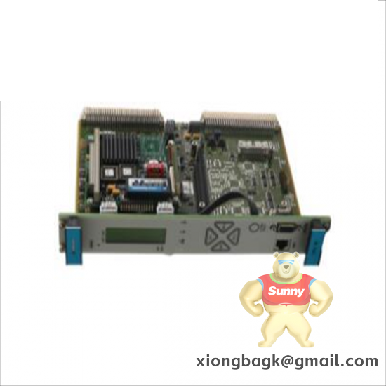 Vibro-meter VM600 200-570-101-013