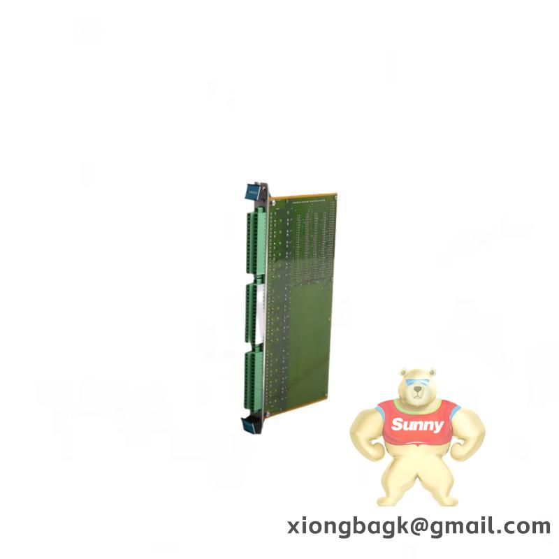VIBRO-METER VM600 CPUM