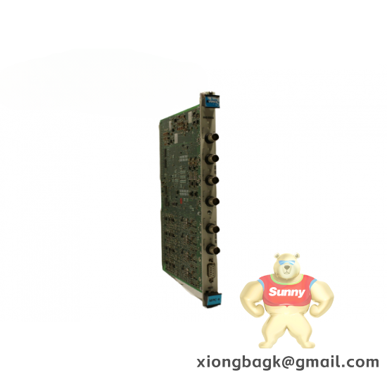 VIBRO-METER VM600 204-040-100-012