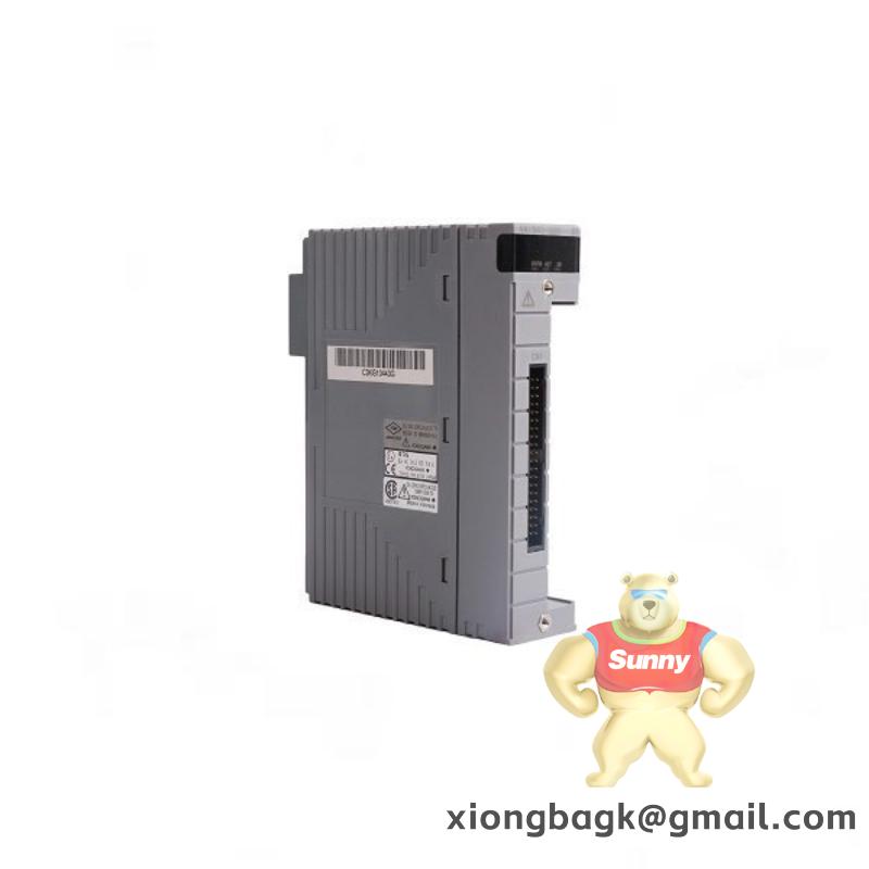 Yokogawa AAI143-S53/K4A00