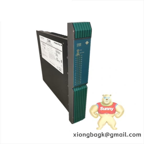 YOKOGAWA PSCDM024DCBAN