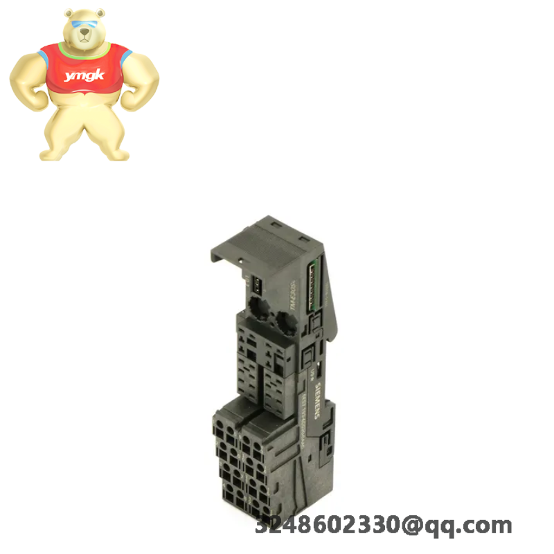 SIEMENS 6ES7193-4CG20-0AA0