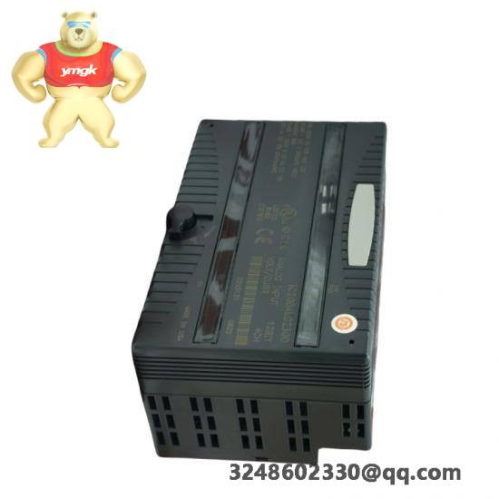 GE Fanuc IC200ALG263