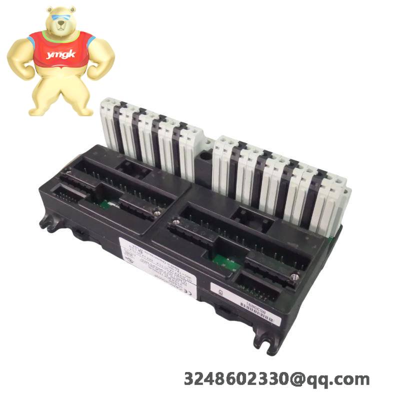GE Fanuc IC670CHS002