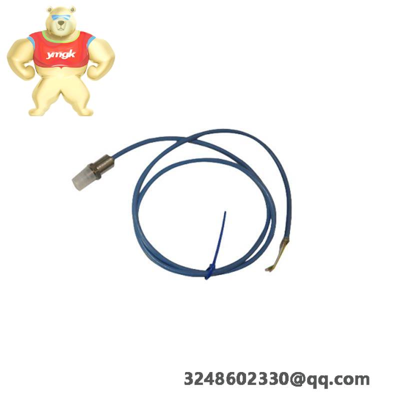 Raytek RAYMI310LTSCB3