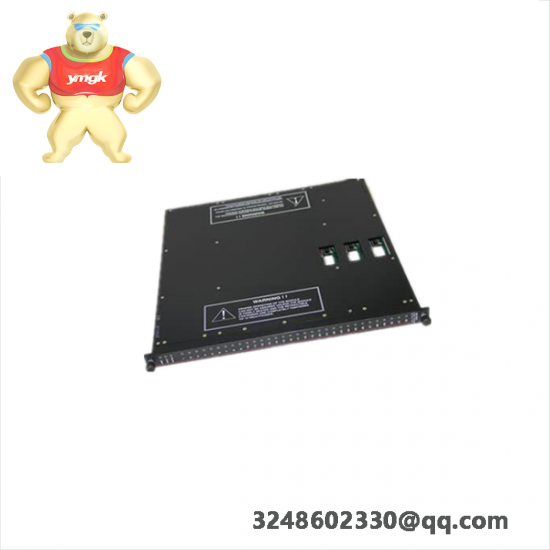 TRICONEX 9670-110