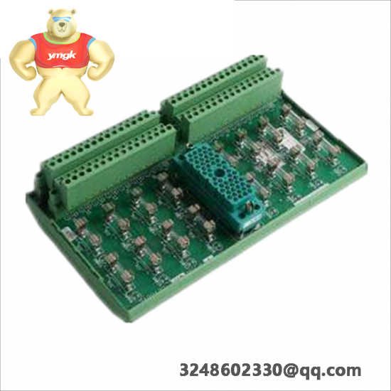 TRICONEX 9561-810