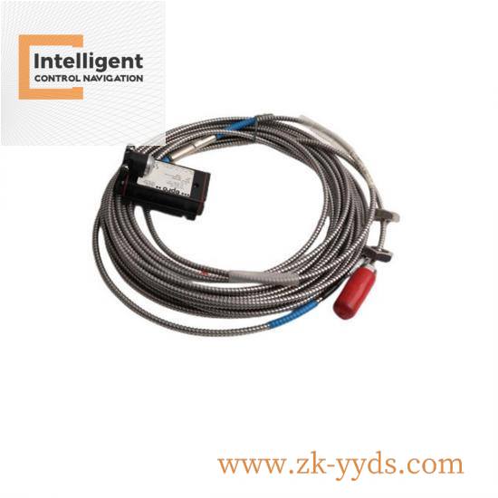 Emerson R2U4N1C1B2T0A