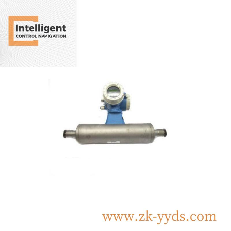 Endress+Hauser CPM253-MR0010