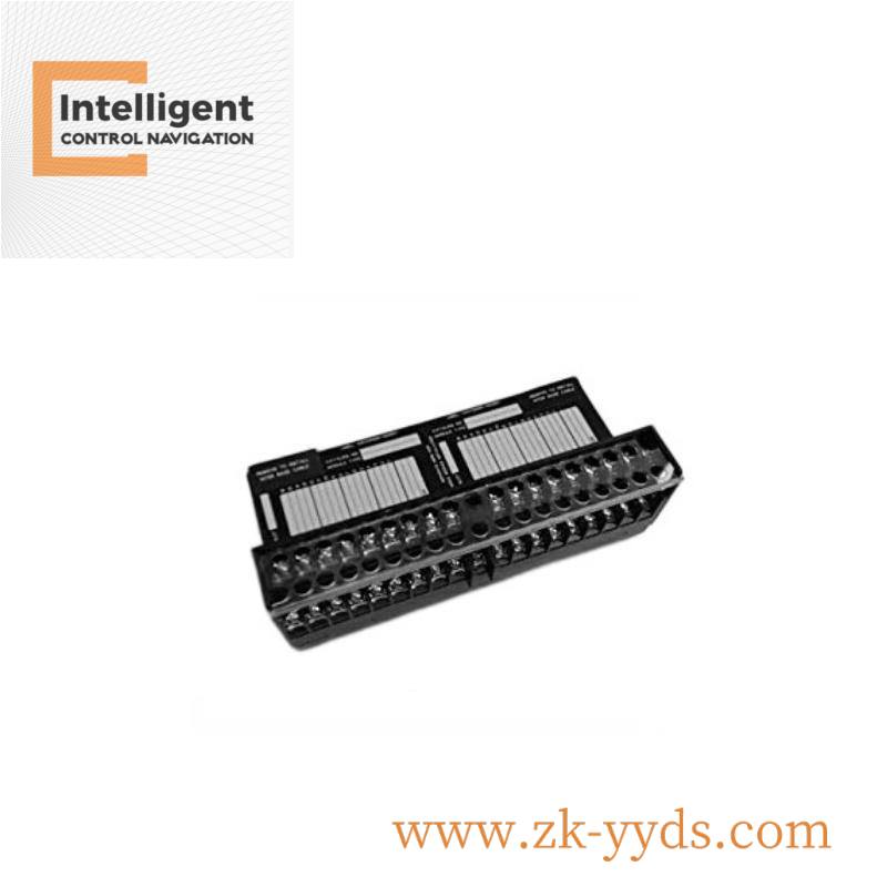 GE Fanuc IC670CHS001