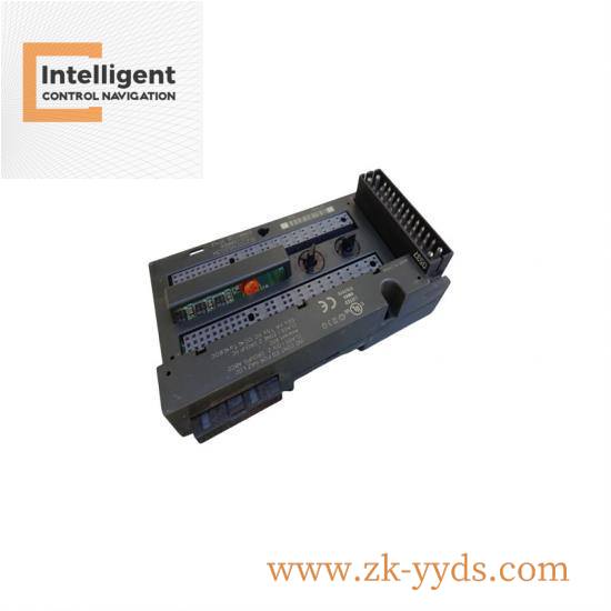 Emerson IC200CHS003