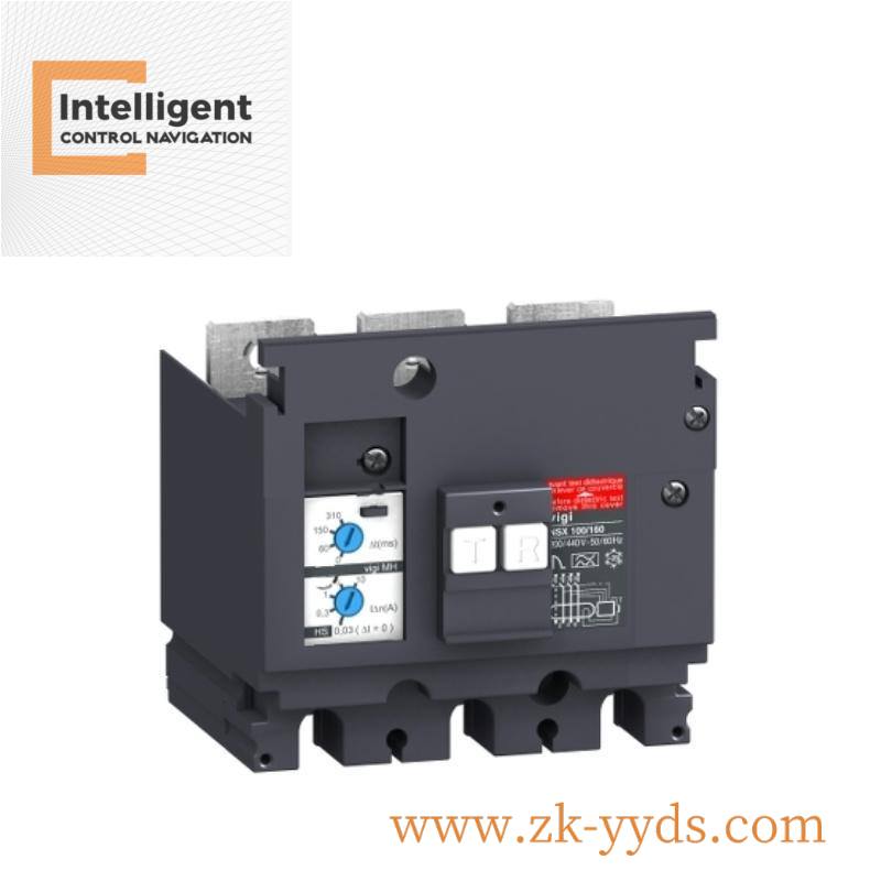 Schneider Electric BMXEAE0300