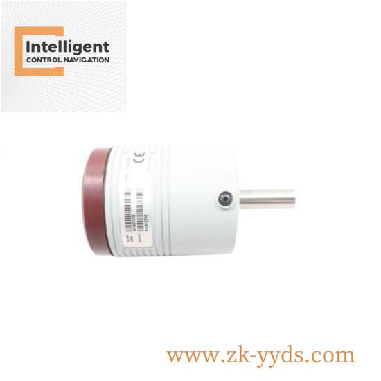 MKS FI20634