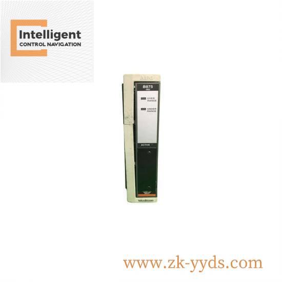 Modicon AS-B875-002