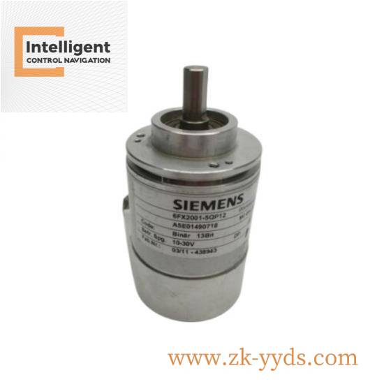 SIEMENS SMP-E217