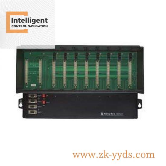 SIS BI01