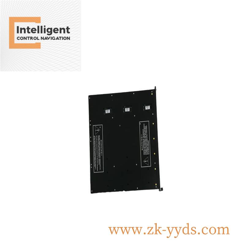 Triconex 7400210-010